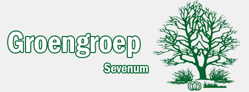 Groengroep-Sevenum
